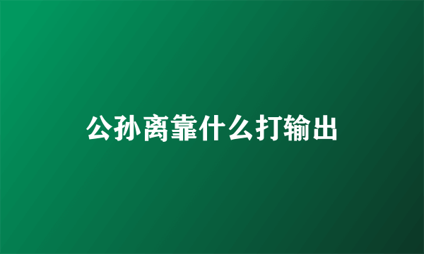 公孙离靠什么打输出