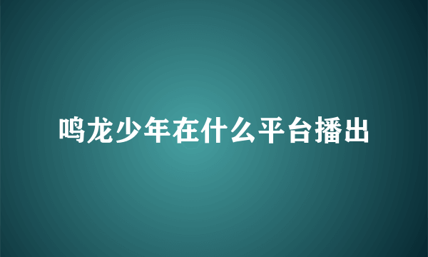 鸣龙少年在什么平台播出