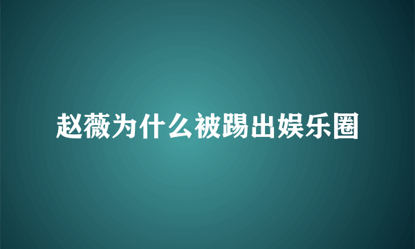 赵薇为什么被踢出娱乐圈