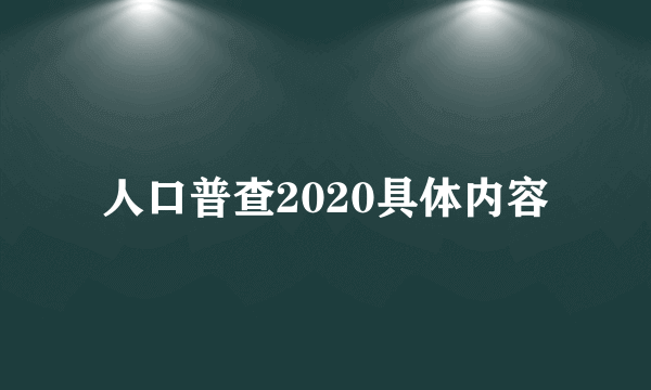 人口普查2020具体内容