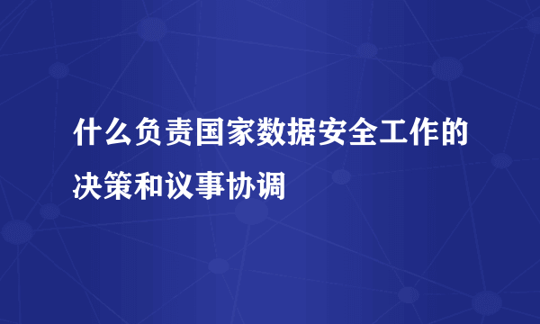 什么负责国家数据安全工作的决策和议事协调