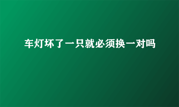 车灯坏了一只就必须换一对吗