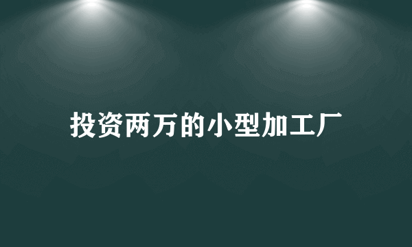 投资两万的小型加工厂