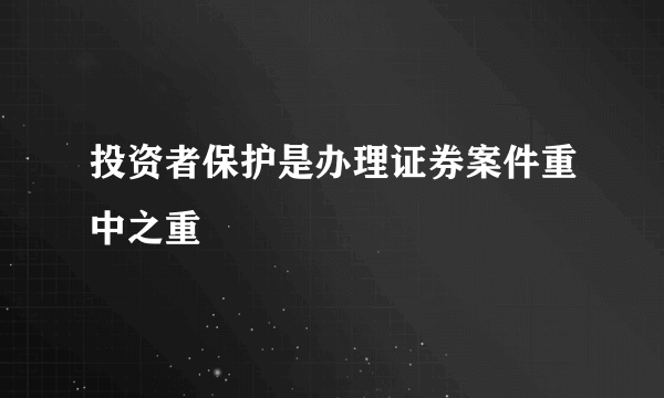 投资者保护是办理证券案件重中之重