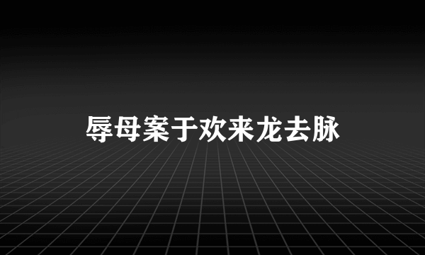 辱母案于欢来龙去脉