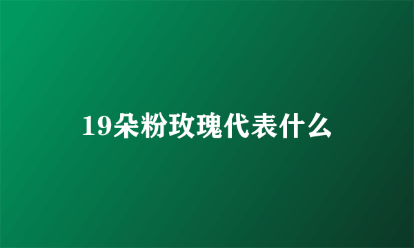 19朵粉玫瑰代表什么