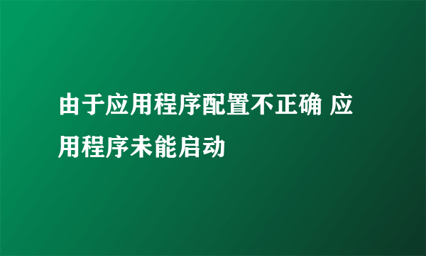 由于应用程序配置不正确 应用程序未能启动