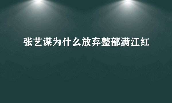 张艺谋为什么放弃整部满江红