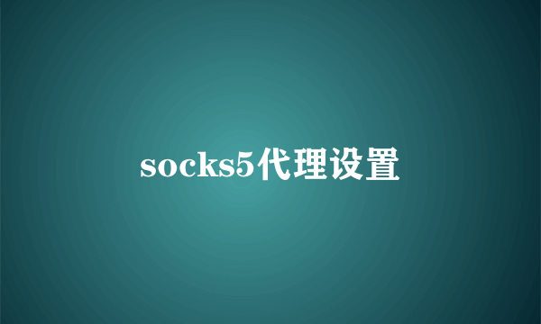 socks5代理设置