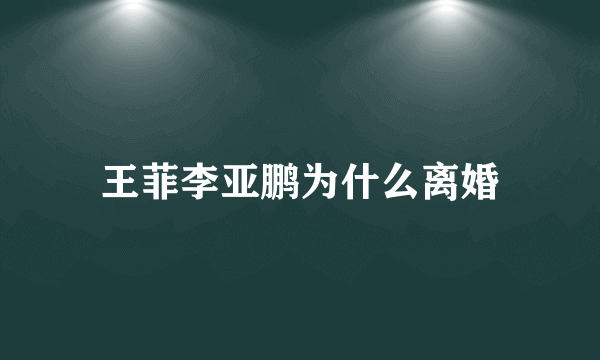 王菲李亚鹏为什么离婚