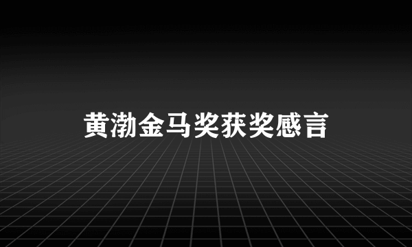 黄渤金马奖获奖感言