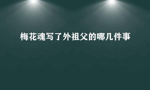 梅花魂写了外祖父的哪几件事