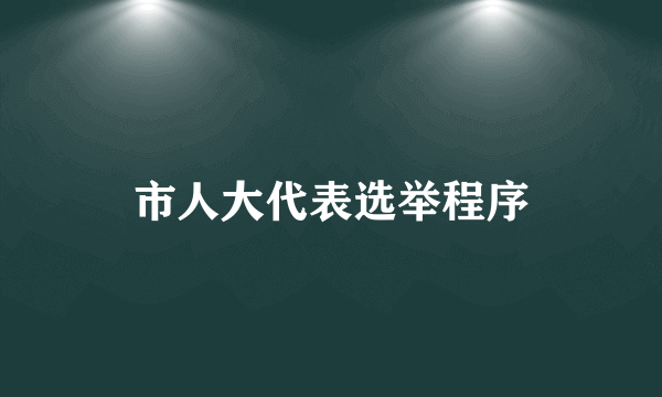 市人大代表选举程序