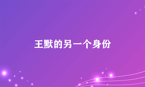 王默的另一个身份