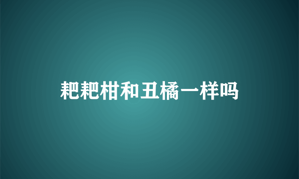 耙耙柑和丑橘一样吗