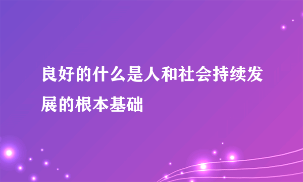 良好的什么是人和社会持续发展的根本基础