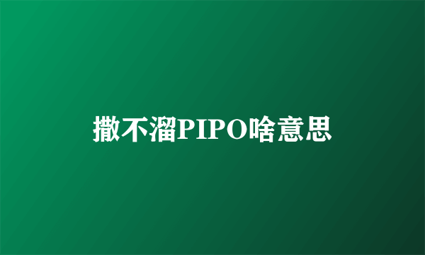 撒不溜PIPO啥意思