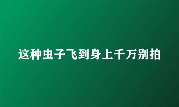 这种虫子飞到身上千万别拍