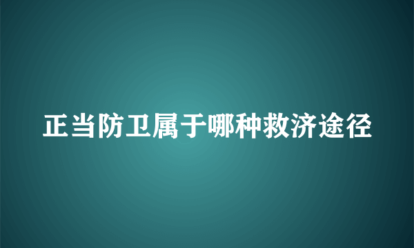 正当防卫属于哪种救济途径