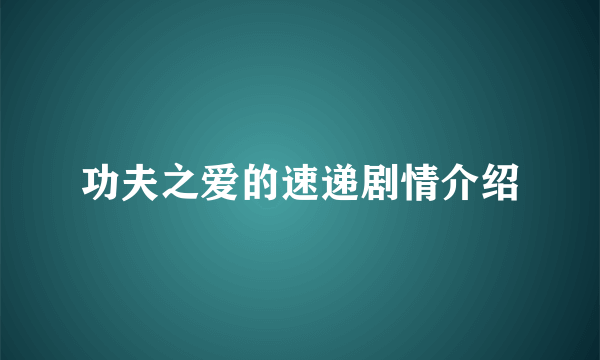 功夫之爱的速递剧情介绍