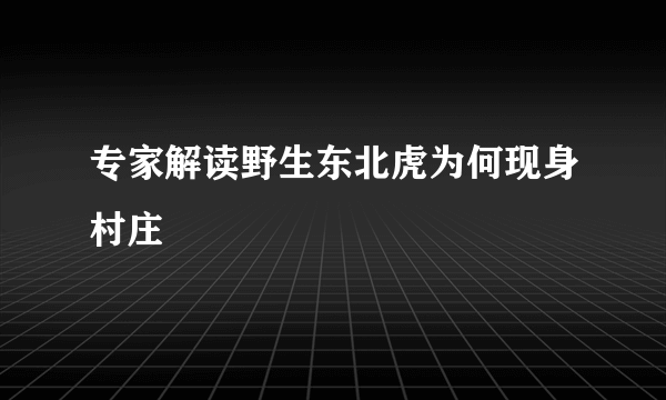 专家解读野生东北虎为何现身村庄