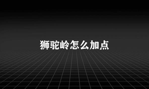 狮驼岭怎么加点