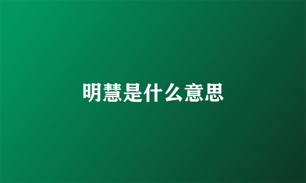 明慧是什么意思