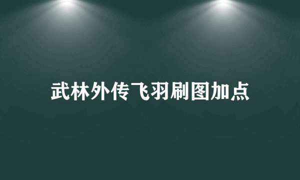 武林外传飞羽刷图加点