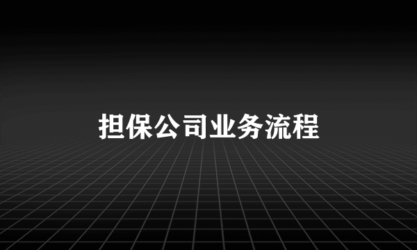 担保公司业务流程