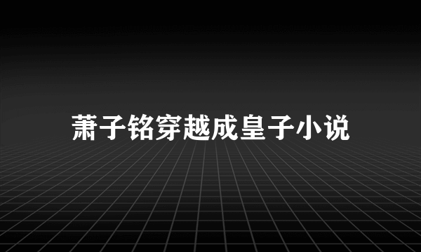 萧子铭穿越成皇子小说