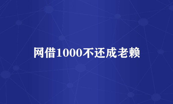 网借1000不还成老赖