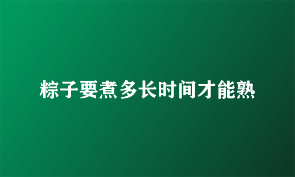 粽子要煮多长时间才能熟