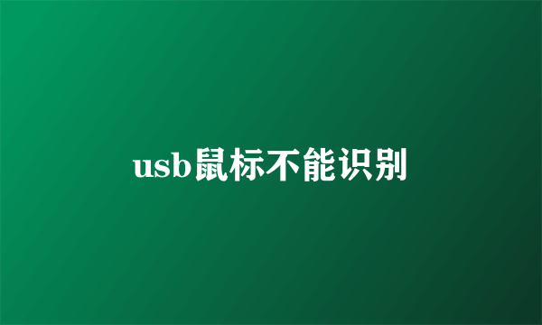 usb鼠标不能识别