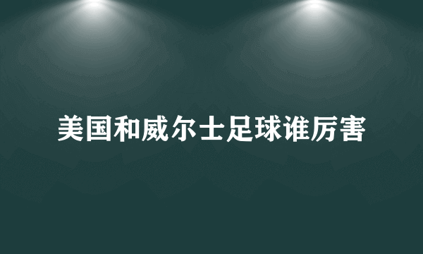 美国和威尔士足球谁厉害