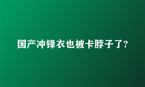 国产冲锋衣也被卡脖子了?