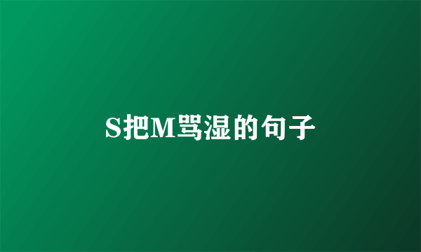 S把M骂湿的句子