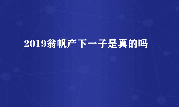 2019翁帆产下一子是真的吗