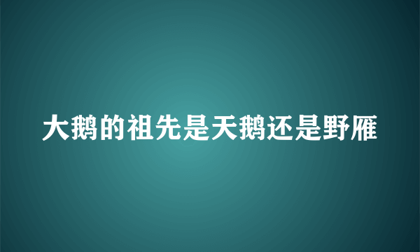 大鹅的祖先是天鹅还是野雁