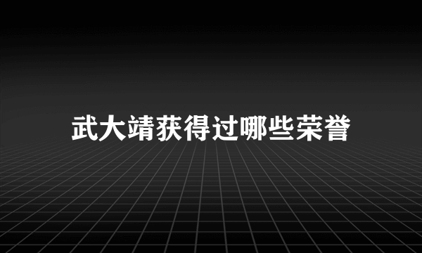 武大靖获得过哪些荣誉