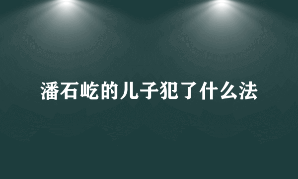 潘石屹的儿子犯了什么法