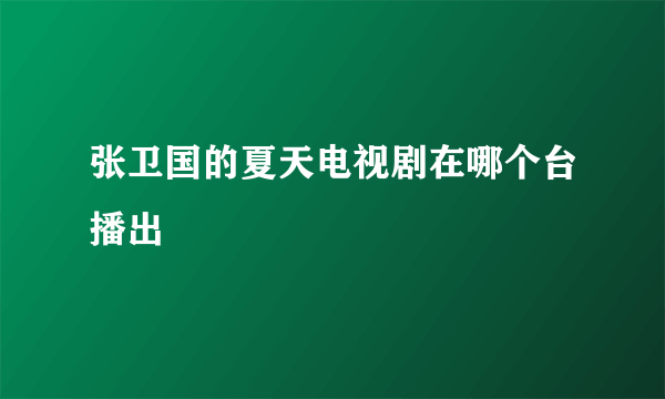 张卫国的夏天电视剧在哪个台播出