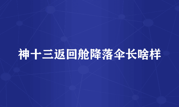 神十三返回舱降落伞长啥样