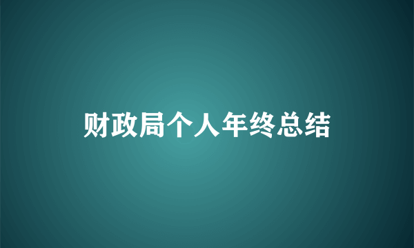 财政局个人年终总结