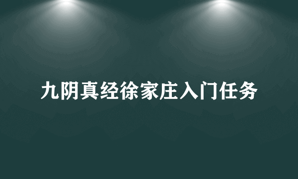 九阴真经徐家庄入门任务