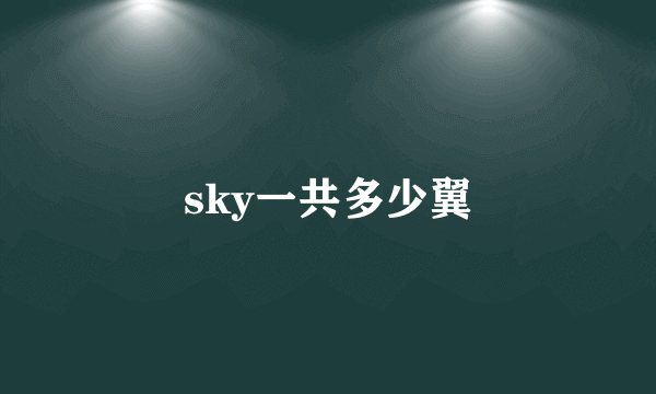 sky一共多少翼