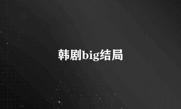 韩剧big结局