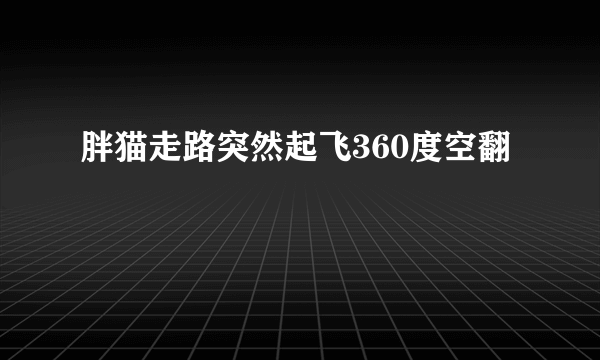 胖猫走路突然起飞360度空翻