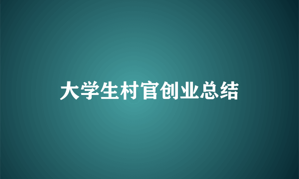 大学生村官创业总结