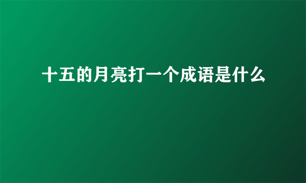 十五的月亮打一个成语是什么