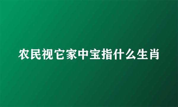 农民视它家中宝指什么生肖